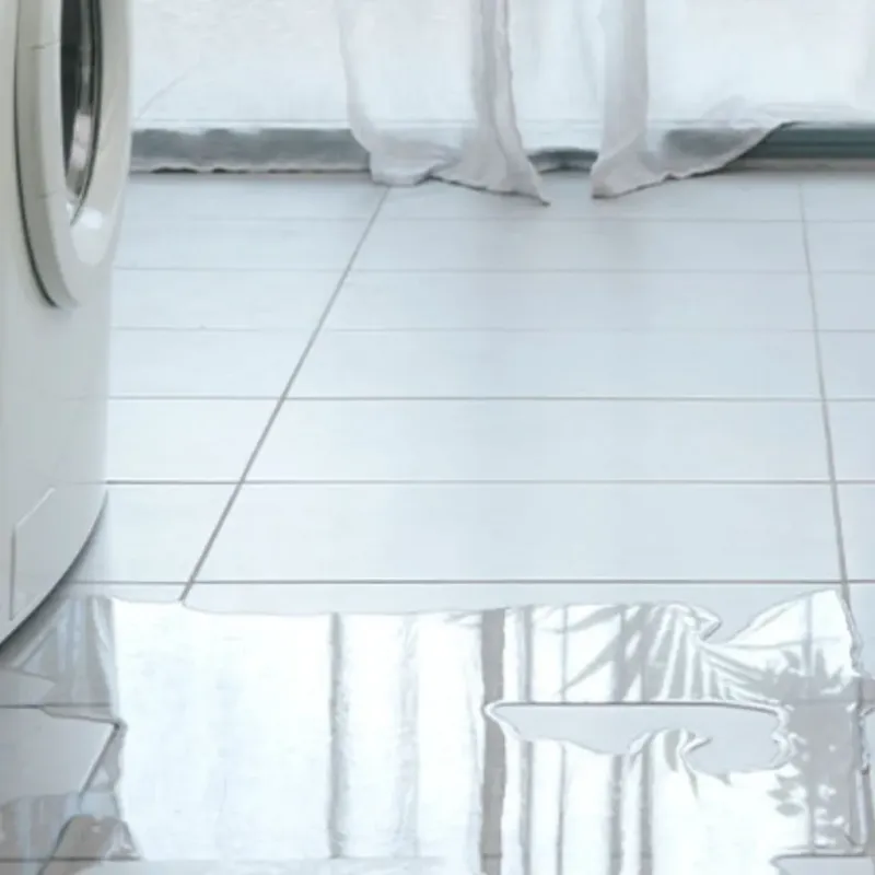 Appliance Leak Cleanup in Union County, IN