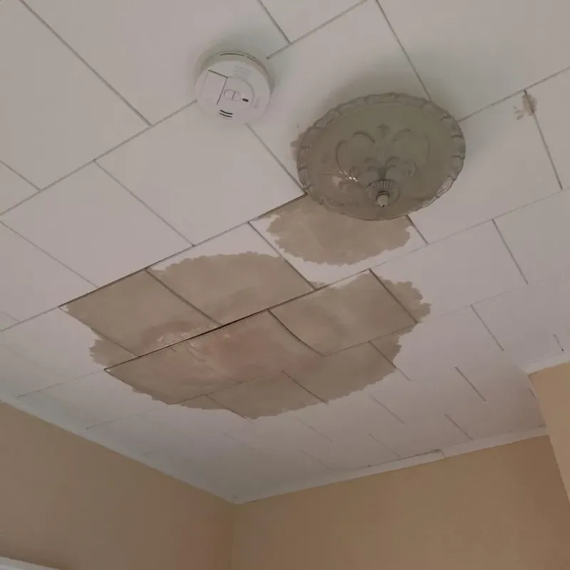 Ceiling Water Damage Repair in Union County, IN