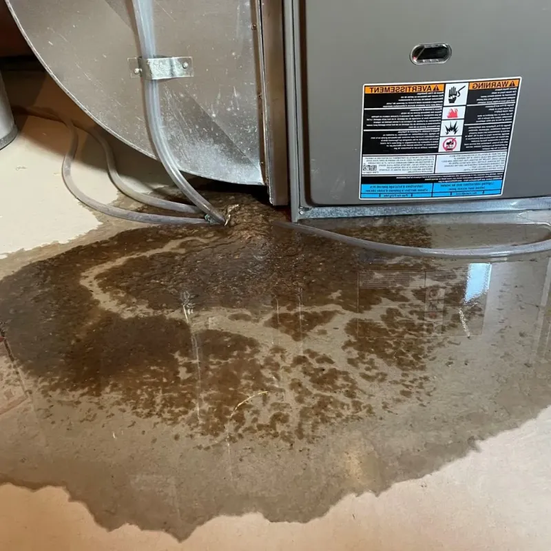Pipe Burst and Leak Restoration in Union County, IN
