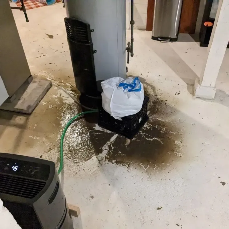 Sewage Backup Cleanup Service in Union County, IN